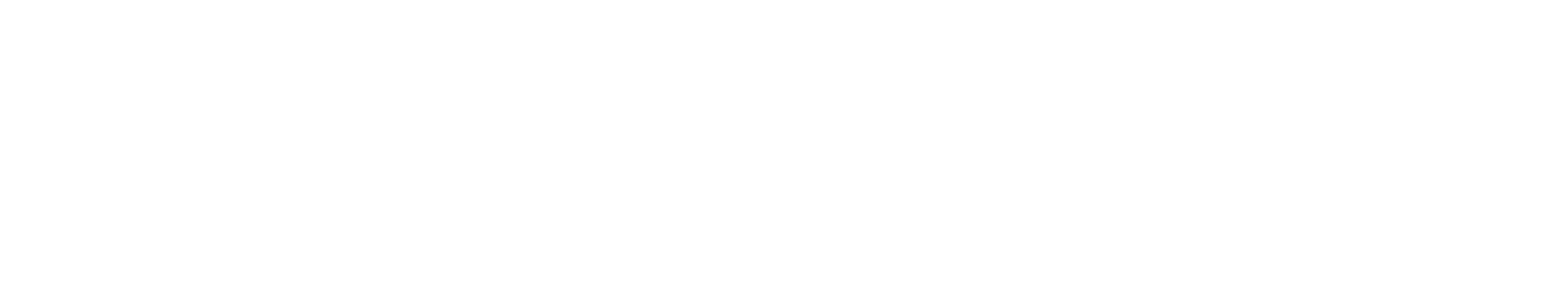 Elite Artificial Grass